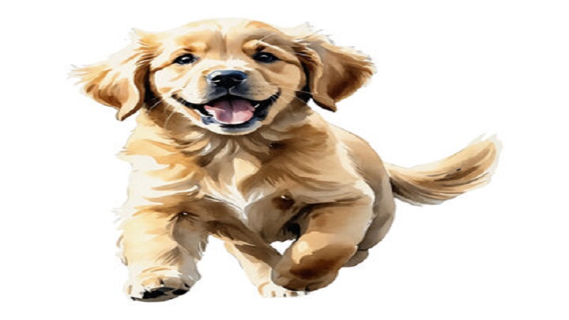 clipart:6flsthamxjw= dog