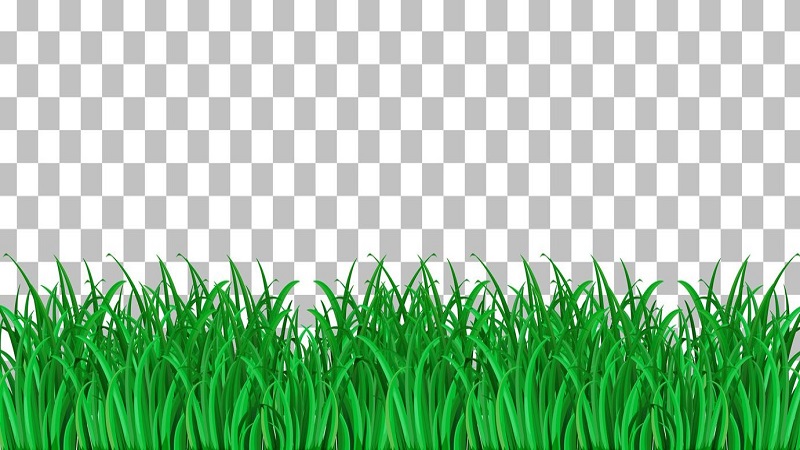 Clipart:254b5v0-neu= Grass: Stunning Designs and Creative Uses