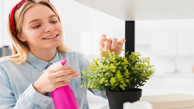 A Fresh Start at Home: Embracing Eco-Friendly Cleaning for Health and Happiness