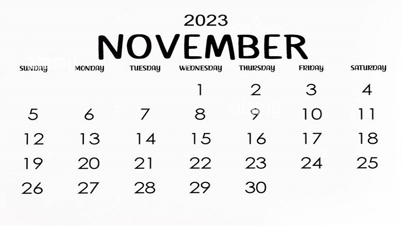 cute:aalx6v19-mi= november 2023 calendar