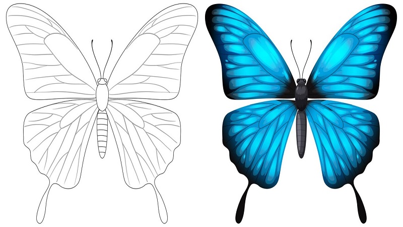 drawing:5dlmdowxula= butterfly